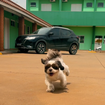 Pousada - Pet Friendly